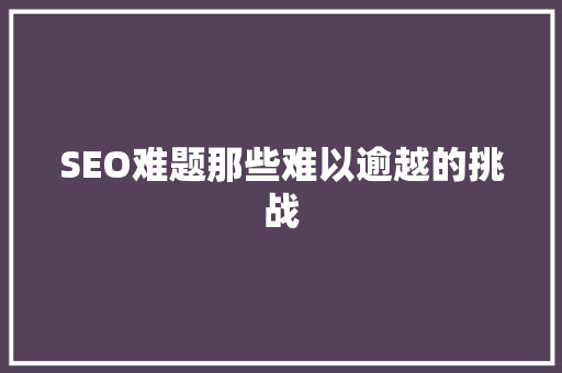 SEO难题那些难以逾越的挑战  第1张