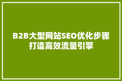 B2B大型网站SEO优化步骤打造高效流量引擎