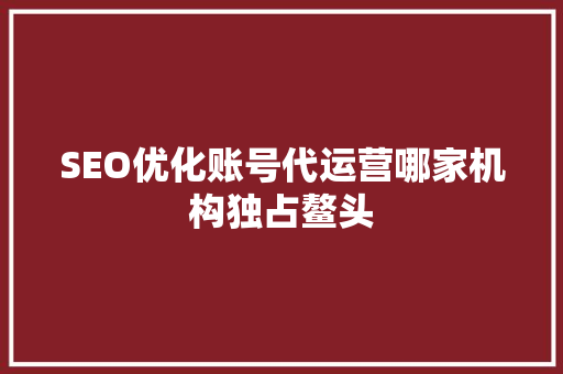 SEO优化账号代运营哪家机构独占鳌头