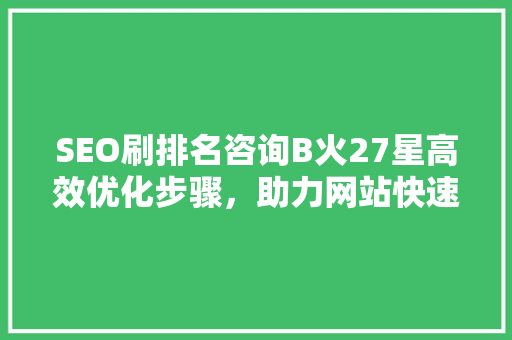 SEO刷排名咨询B火27星高效优化步骤，助力网站快速崛起