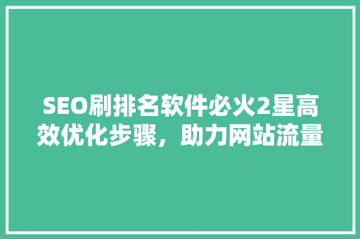 SEO刷排名软件必火2星高效优化步骤，助力网站流量翻倍
