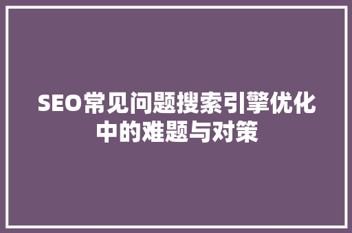 SEO常见问题搜索引擎优化中的难题与对策