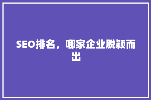 SEO排名，哪家企业脱颖而出