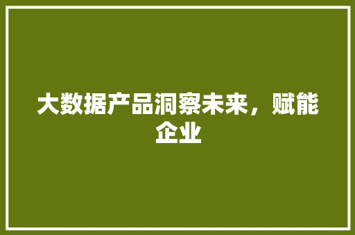 大数据产品洞察未来，赋能企业