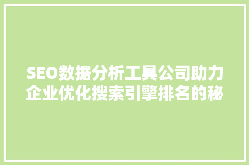 SEO数据分析工具公司助力企业优化搜索引擎排名的秘密武器