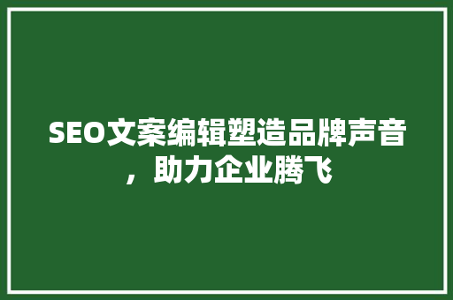 SEO文案编辑塑造品牌声音，助力企业腾飞