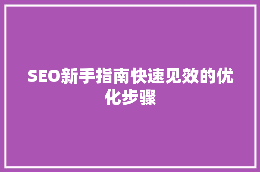 SEO新手指南快速见效的优化步骤