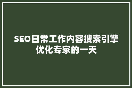 SEO日常工作内容搜索引擎优化专家的一天