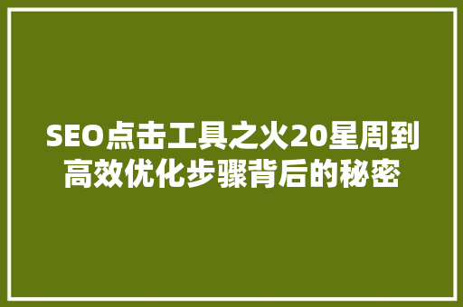SEO点击工具之火20星周到高效优化步骤背后的秘密