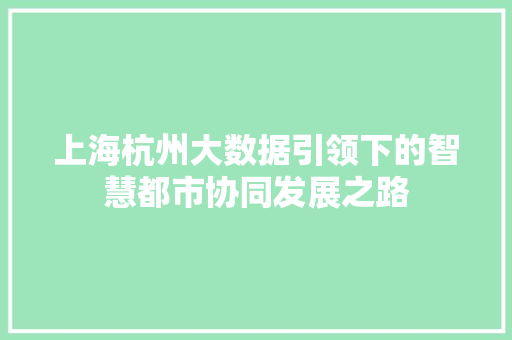上海杭州大数据引领下的智慧都市协同发展之路