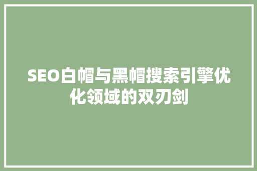 SEO白帽与黑帽搜索引擎优化领域的双刃剑