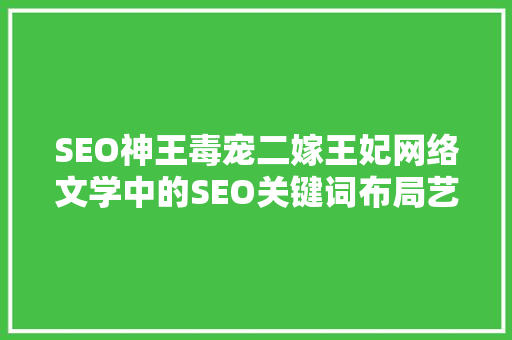 SEO神王毒宠二嫁王妃网络文学中的SEO关键词布局艺术
