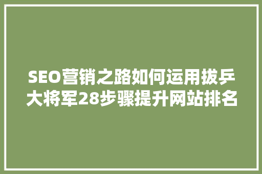 SEO营销之路如何运用拔乒大将军28步骤提升网站排名