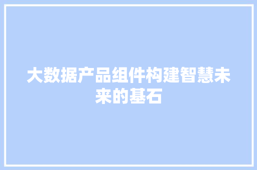 大数据产品组件构建智慧未来的基石