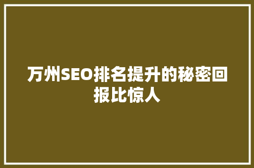 万州SEO排名提升的秘密回报比惊人