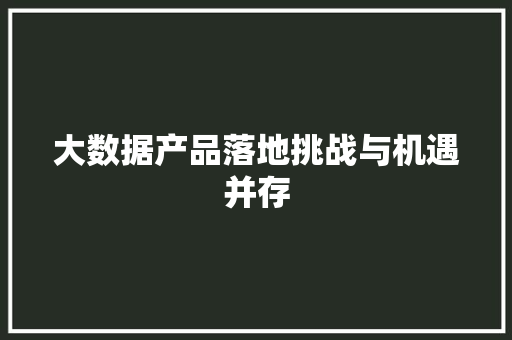 大数据产品落地挑战与机遇并存  第1张