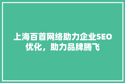 上海百首网络助力企业SEO优化，助力品牌腾飞