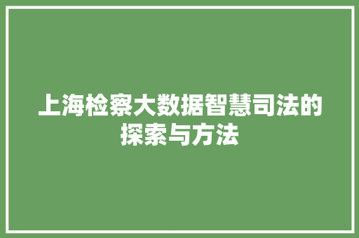 上海检察大数据智慧司法的探索与方法
