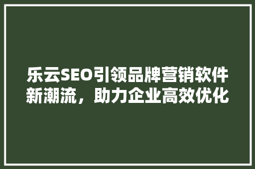 乐云SEO引领品牌营销软件新潮流，助力企业高效优化网络营销