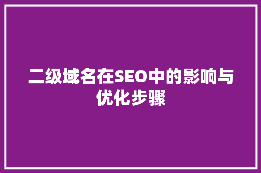 二级域名在SEO中的影响与优化步骤