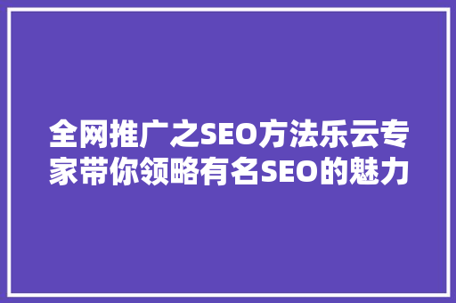 全网推广之SEO方法乐云专家带你领略有名SEO的魅力