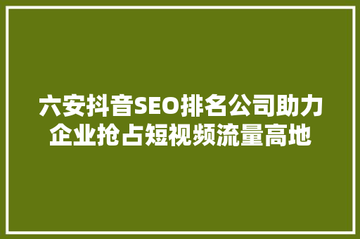六安抖音SEO排名公司助力企业抢占短视频流量高地