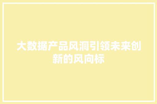 大数据产品风洞引领未来创新的风向标