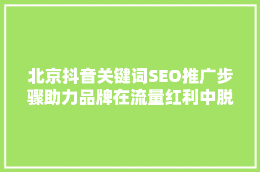 北京抖音关键词SEO推广步骤助力品牌在流量红利中脱颖而出