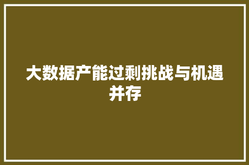 大数据产能过剩挑战与机遇并存  第1张