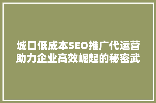 城口低成本SEO推广代运营助力企业高效崛起的秘密武器