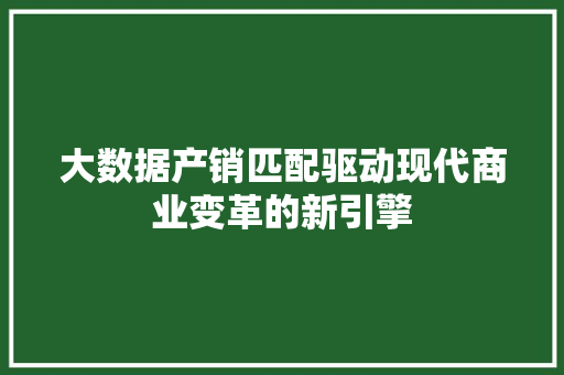 大数据产销匹配驱动现代商业变革的新引擎