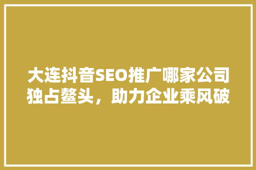 大连抖音SEO推广哪家公司独占鳌头，助力企业乘风破浪