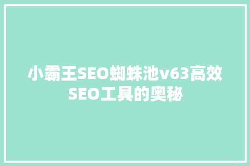 小霸王SEO蜘蛛池v63高效SEO工具的奥秘