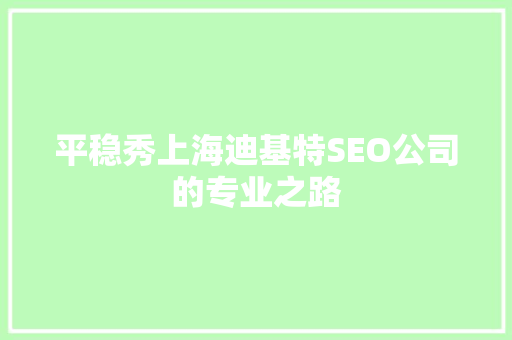 平稳秀上海迪基特SEO公司的专业之路