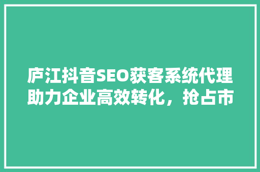 庐江抖音SEO获客系统代理助力企业高效转化，抢占市场先机