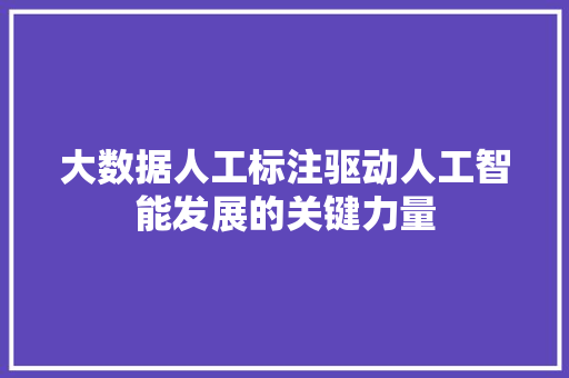 大数据人工标注驱动人工智能发展的关键力量  第1张