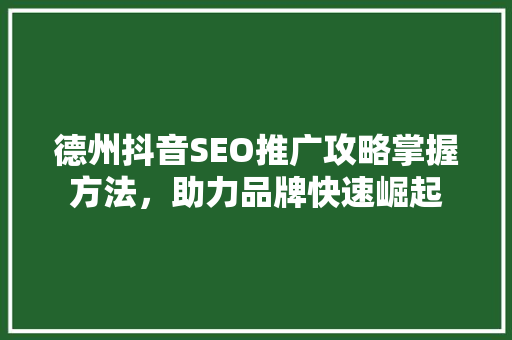 德州抖音SEO推广攻略掌握方法，助力品牌快速崛起