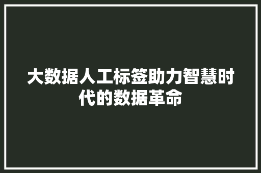 大数据人工标签助力智慧时代的数据革命  第1张