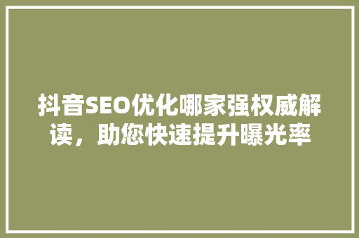 抖音SEO优化哪家强权威解读，助您快速提升曝光率