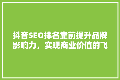 抖音SEO排名靠前提升品牌影响力，实现商业价值的飞跃