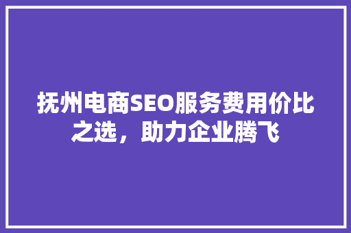 抚州电商SEO服务费用价比之选，助力企业腾飞