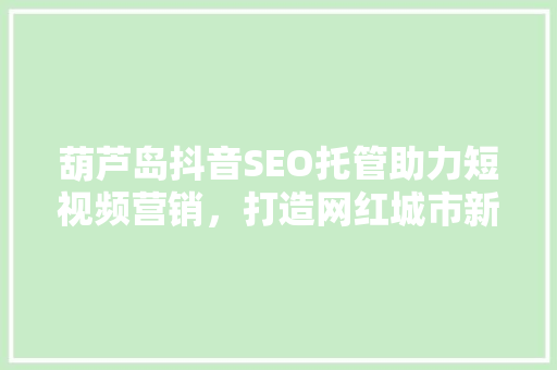 葫芦岛抖音SEO托管助力短视频营销，打造网红城市新名片