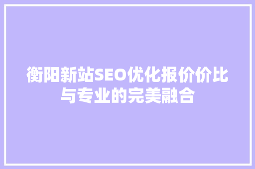 衡阳新站SEO优化报价价比与专业的完美融合