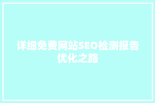 详细免费网站SEO检测报告优化之路
