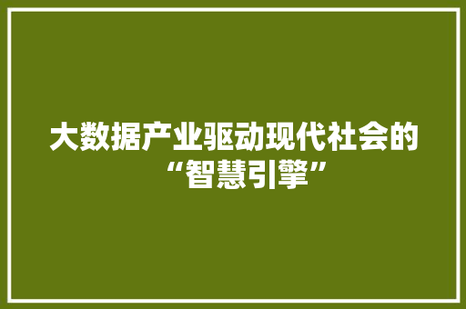 大数据产业驱动现代社会的“智慧引擎”