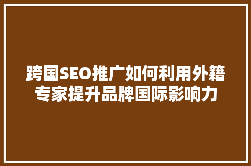 跨国SEO推广如何利用外籍专家提升品牌国际影响力