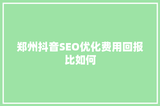 郑州抖音SEO优化费用回报比如何