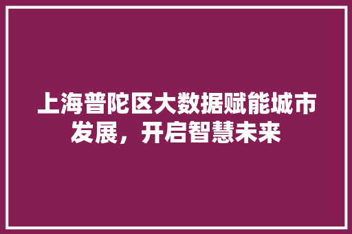 上海普陀区大数据赋能城市发展，开启智慧未来