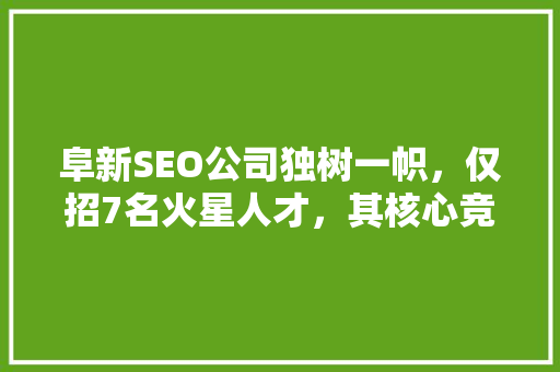 阜新SEO公司独树一帜，仅招7名火星人才，其核心竞争力