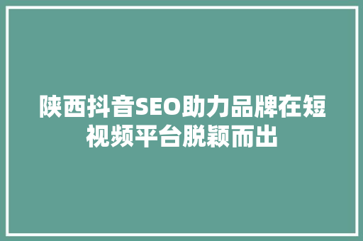 陕西抖音SEO助力品牌在短视频平台脱颖而出